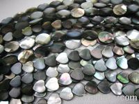Black Shell/shell Beads