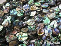 https://www.tradekey.com/product_view/Abalone-Shell-Bead-paua-Shell-1900716.html