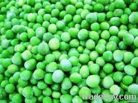 frozen green peas(IQF green peas)