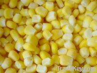 frozen sweet corn kernels (IQF sweet corn kernels)