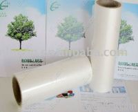 https://fr.tradekey.com/product_view/Bopp-Thermal-Lamination-Film1213-1907601.html