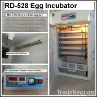 RD-528 egg incubator