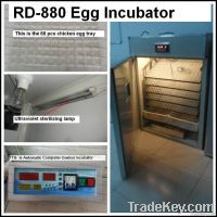 RD-880 egg incubator