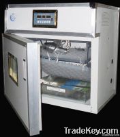 RD-88 automatic egg incubator