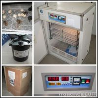 RD-264 poultry  incubator