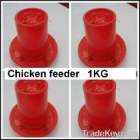 chicken feeder