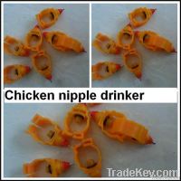 automatic nipple drinker of poultry