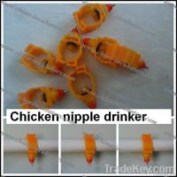 automatic drinker for chicken