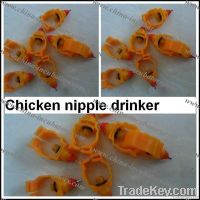 automatic drinker for poultry