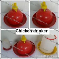 Chicken drinker and feeder