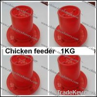 Chicken feeder