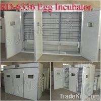 hatching broiler eggs by incubator hatcher