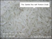 Thai Jasmine Rice