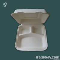 8" 3-com Clamshell Disposable Tableware