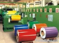 Prepainted steel coil