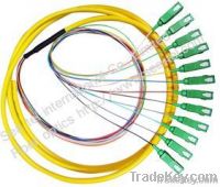 SC/APC Fiber Optic pigtail cable 12cores