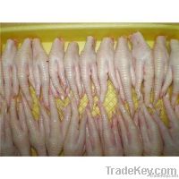 Export Chicken Paw | Chicken Feet Suppliers | Poultry Feet Exporters | Chicken Feets Traders | Processed Chicken Paw Buyers | Frozen Poultry Paw Wholesalers | Low Price Freeze Chicken Paw | Best Buy Chicken Paw | Buy Chicken Paw | Import Chicken Paw | Chi