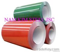 PrePainted Galvanized Steel Sheet in Coil