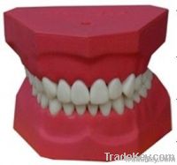 https://www.tradekey.com/product_view/2times-Size-Dental-Brushing-1886179.html