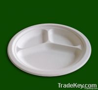 9inch Three Compartments Plate