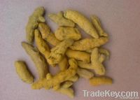 Dry Turmeric