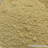 Dry Ginger Powder