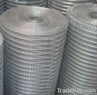 Welded Wire Mesh DBL-A