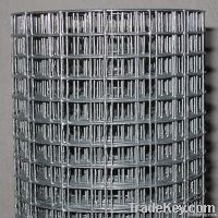 Metal Welded Wire Mesh DBL-B