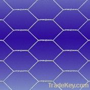 Stainless Steel Hexagonal Wire Netting DBL-D
