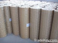 Electro Galvanized welded wire mesh DBL-E