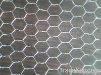 hexagonal mesh-M