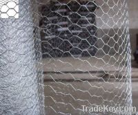 Galvanized Chicken Mesh F