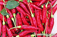 Red Chillies