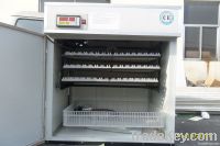 https://es.tradekey.com/product_view/2012-New-Model-Best-Quality-Chicken-Egg-Incubator-Yztie-8-Ce-Passed-2056088.html