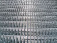 Welded Wire Mesh