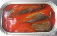 125g canned mackerel in tomato sauce