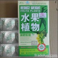 https://fr.tradekey.com/product_view/2011-Hot-Sale-Reduce-Weight-Fruta-Planta-1893725.html