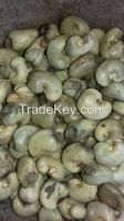 Nigeria Origin Raw Cashew Nuts 2019 New Crop