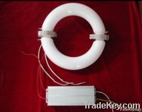 Ring Type Induction lamp
