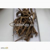 root of althaea