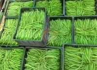 Fresh Green Beans from Egypt by Fruit Link 