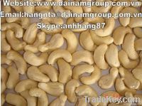 Vietnam cashew nut