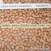 sell Groundnut Kernels