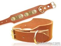LEATHER DOG COLLAR WITH BRASS FITINGS.