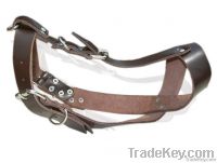 LEATHER DOG MUZZLE with steel fitings