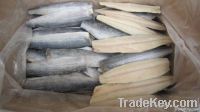 Good quality frozen spanish mackerel fillets