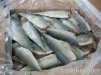 Frozen mackerel fillets