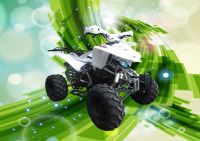 ATV 150CC Auto