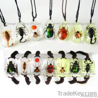 Wholesale real insect amber jewelry insects necklace insects bracelet
