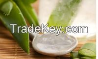 Skin Care Aloe Vera